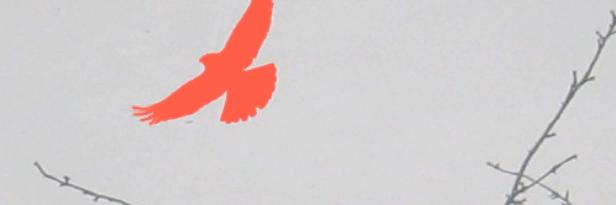 hb_oneill's profile banner image