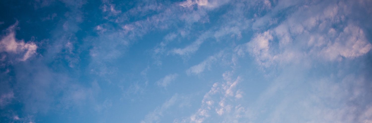 DonutTheRipper's profile banner image