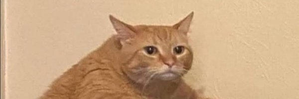 GarfMaii Profile Banner