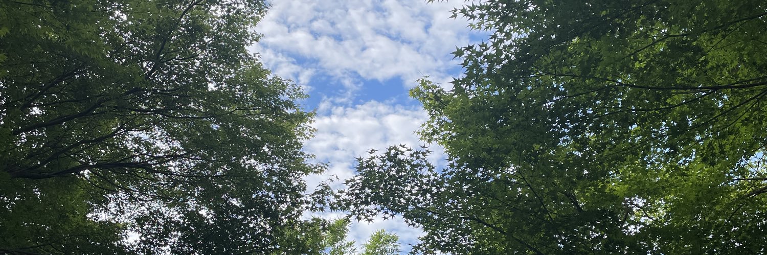 I9895am's profile banner image