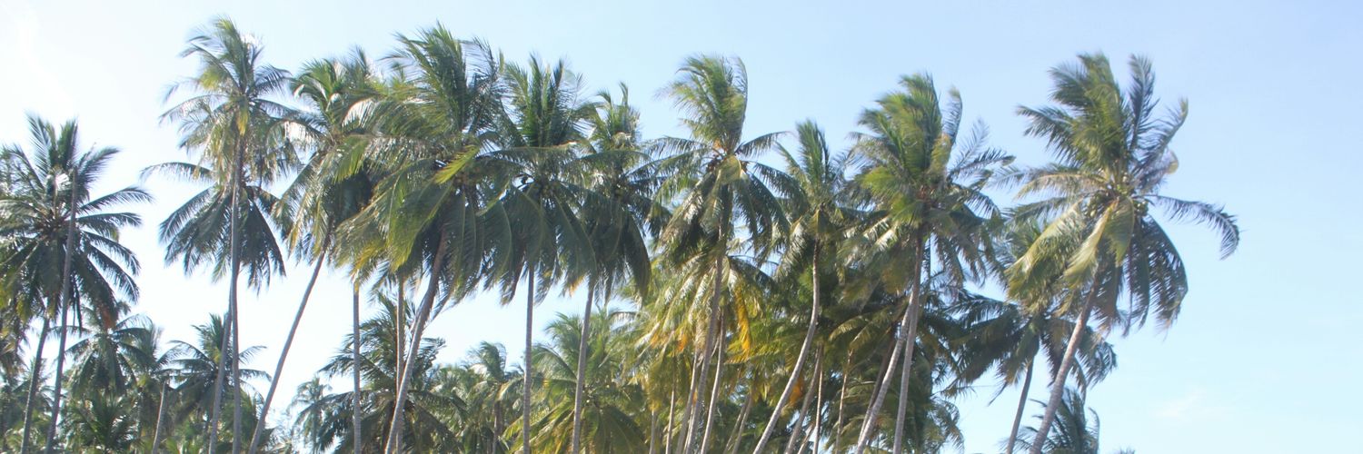 rusyooo's profile banner image
