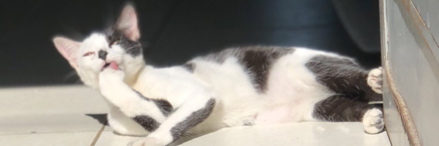 ahmileeu's profile banner image