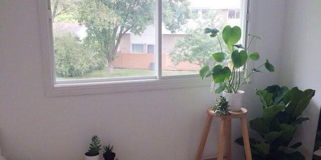 lim_ther's profile banner image