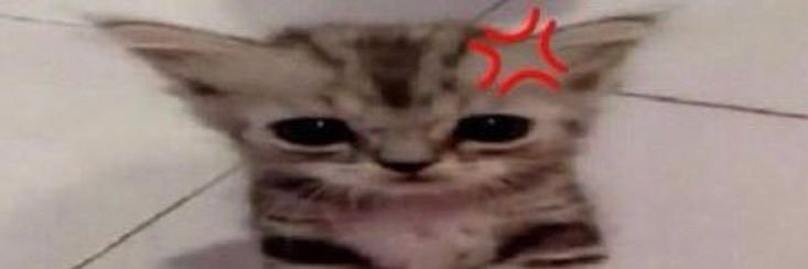 fellinIuv's profile banner image