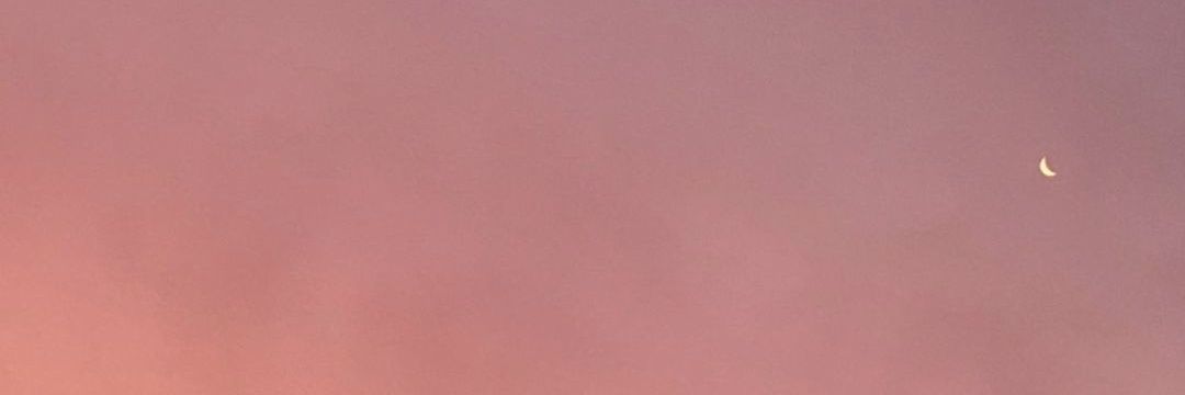 Ester banner