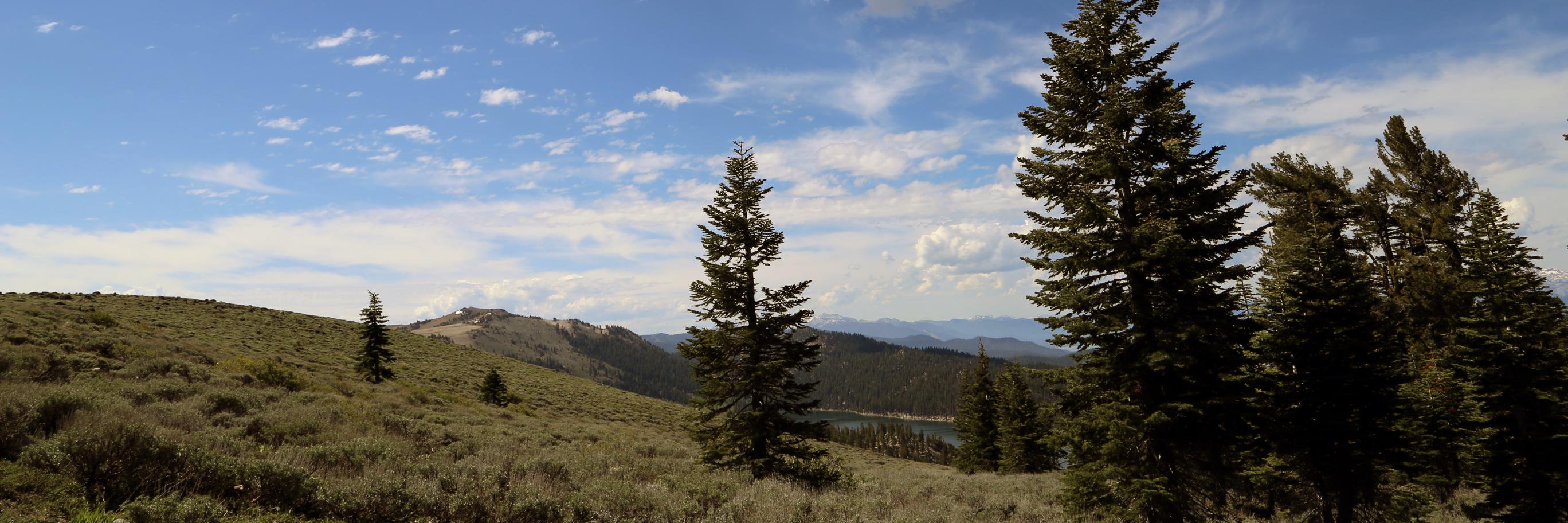 David McClure banner