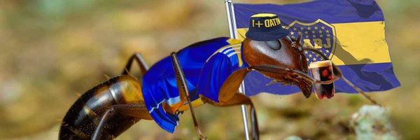 HormigaXeneize Profile Banner