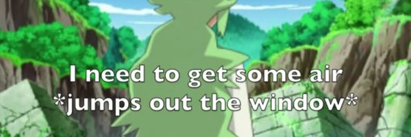 NormalTermo Profile Banner