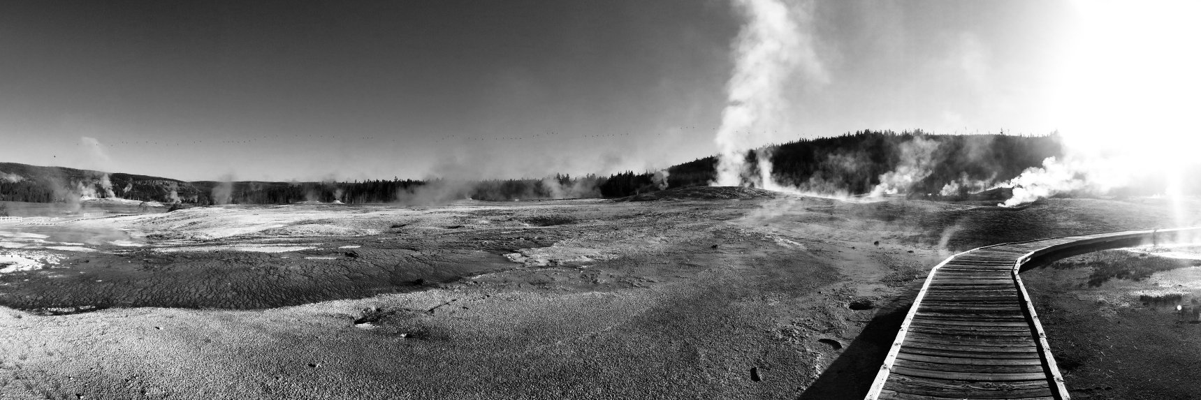 Lindsay Singleton banner