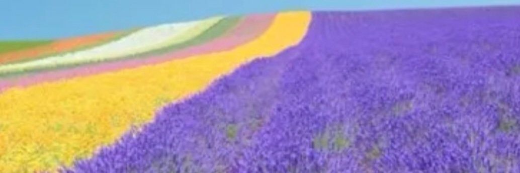 maximdream's profile banner image