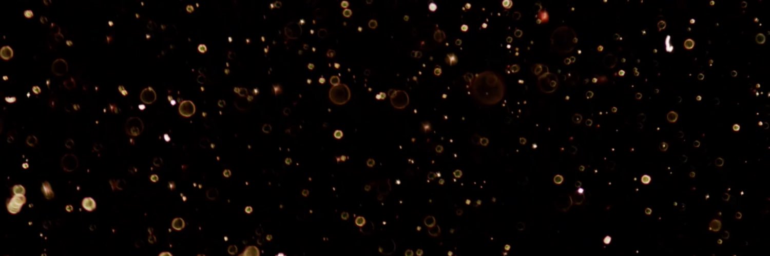 erolynonline's profile banner image