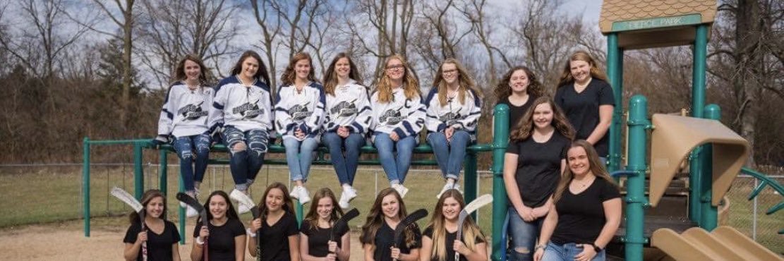 Badger Lightning Girls HS Hockey banner