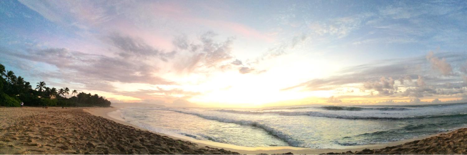 Michael Ortega banner