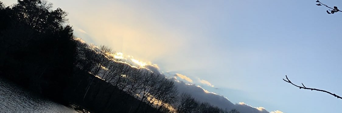 Joshh_Bruce's profile banner image
