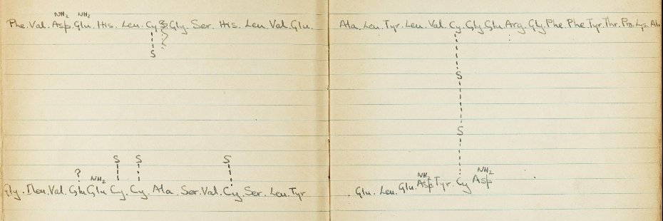 Augusto Franco banner