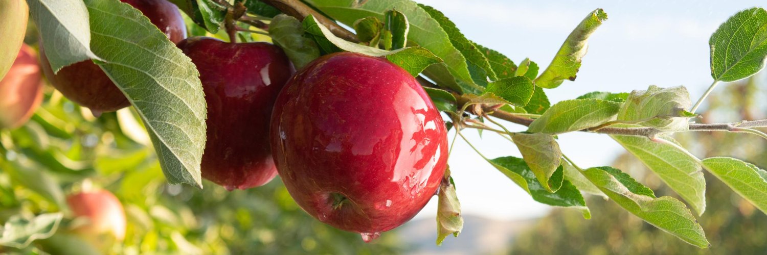 Stemilt Growers banner
