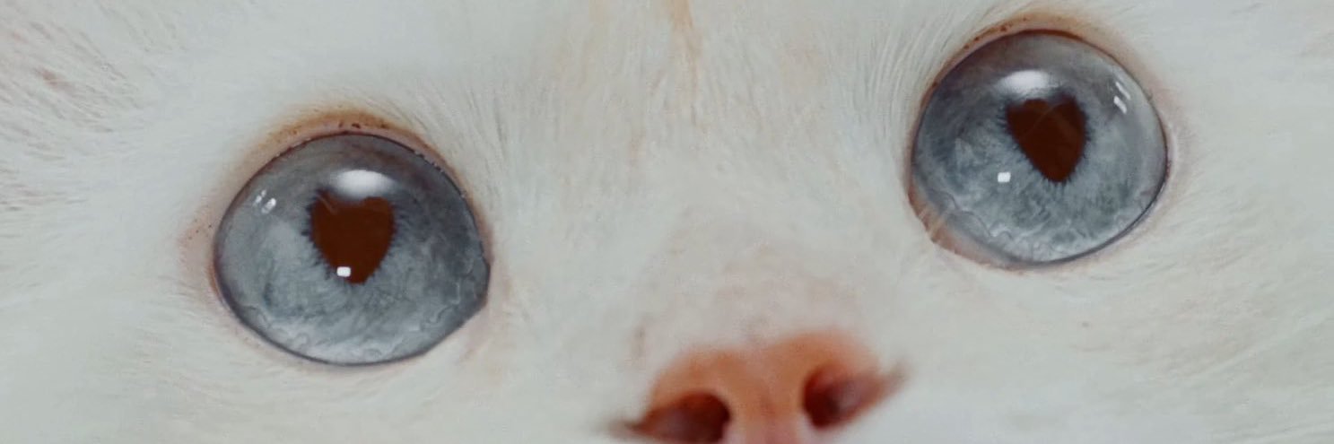 chuusemble's profile banner image
