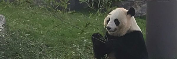 mlaass1 Profile Banner