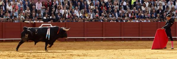 sanchezmarinit's profile banner image