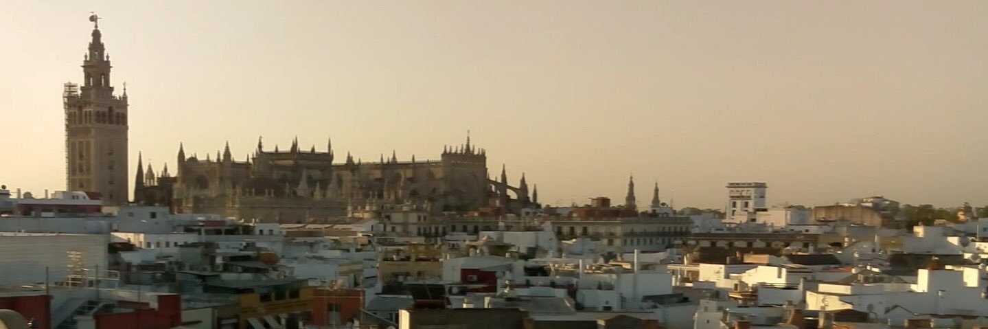 wfaelo's profile banner image