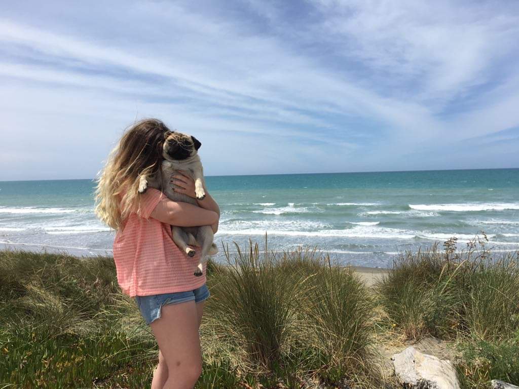 BensleyErin's profile banner image