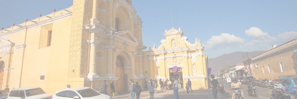 hermanopedrogt Profile Banner