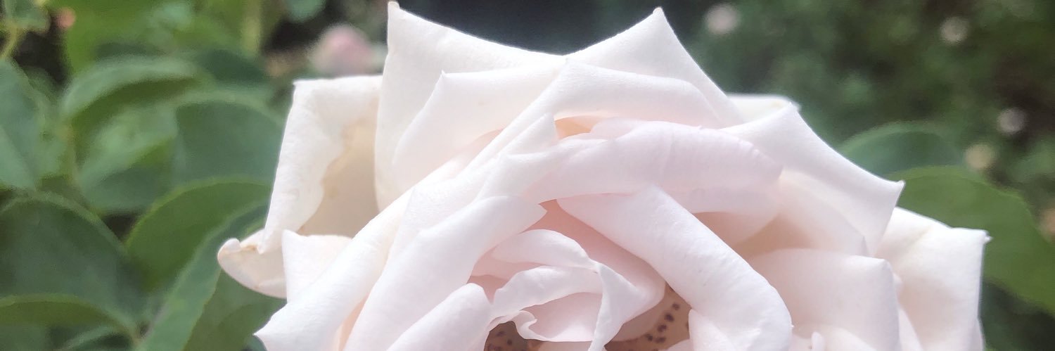 HaarryBlack's profile banner image