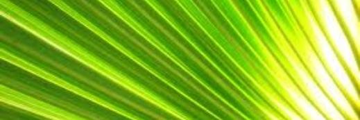 augustohummel's profile banner image