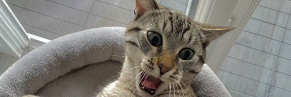 LeaDnlz Profile Banner