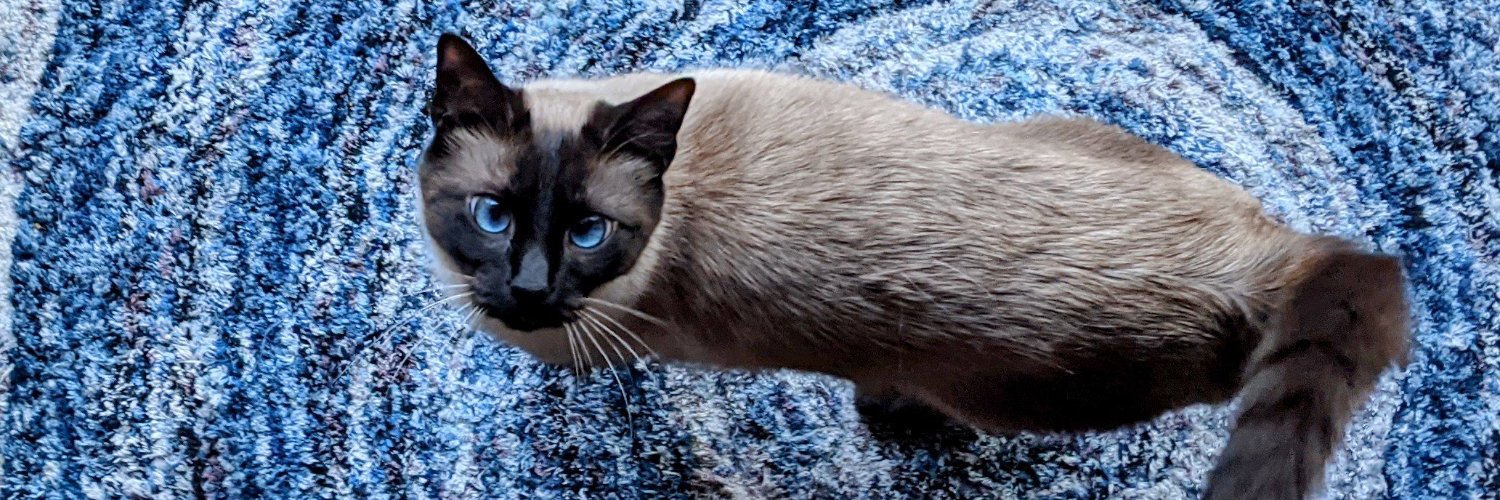 idave2000's profile banner image