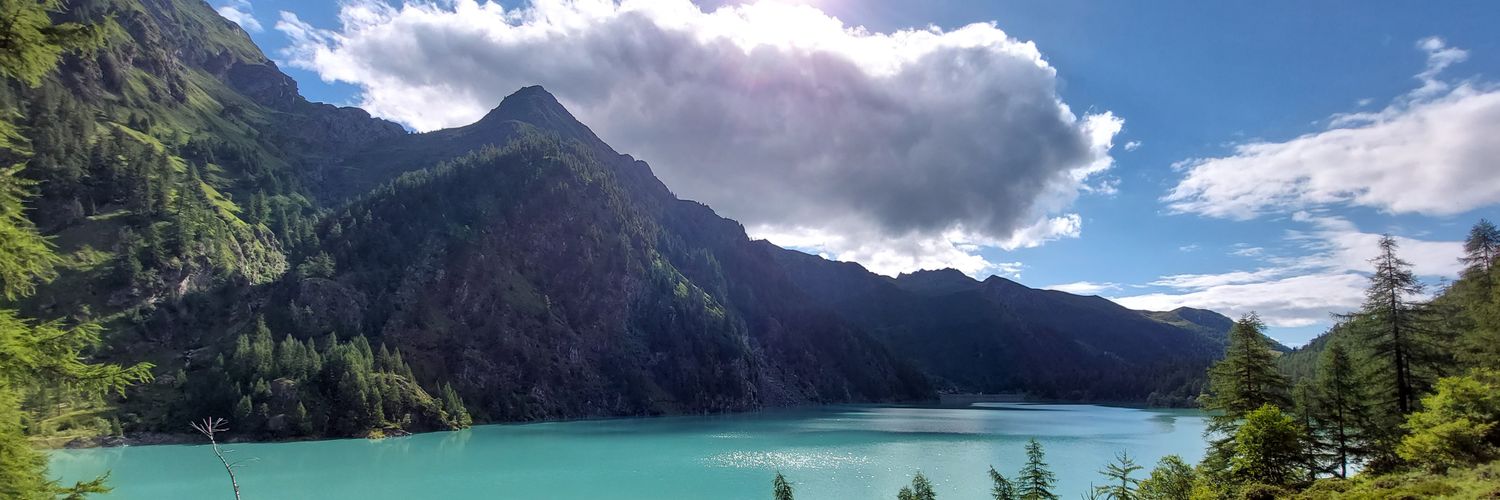 edoardo cefalà banner