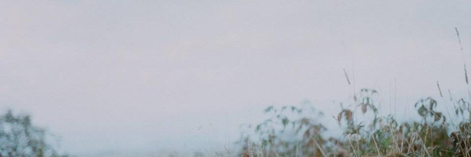 belurizzi's profile banner image