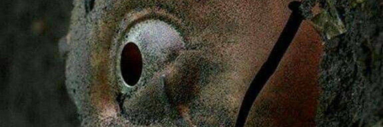 Ahmt_icozz's profile banner image