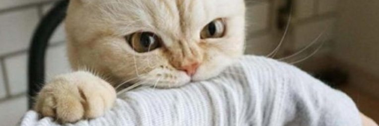 slowlylife0's profile banner image