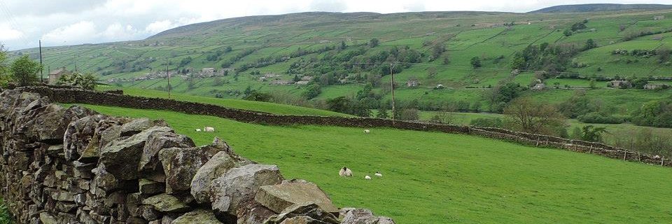 Dr Manon Burz-Labrande banner