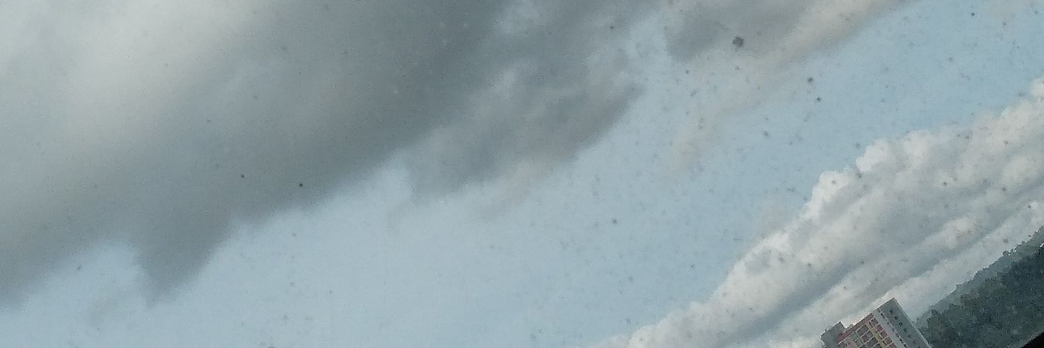 Sebastián A banner