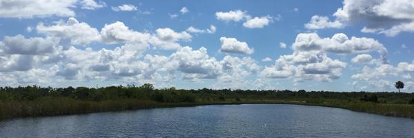 ChristineRoseUX Profile Banner