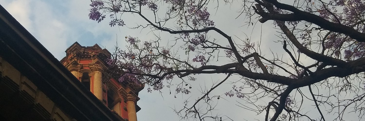AnaLauniice4's profile banner image