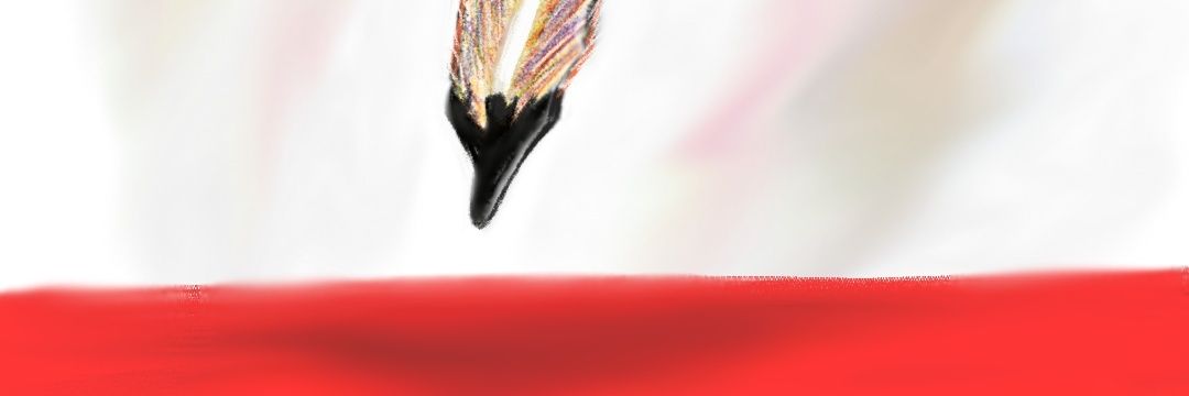 ORDINARY149's profile banner image