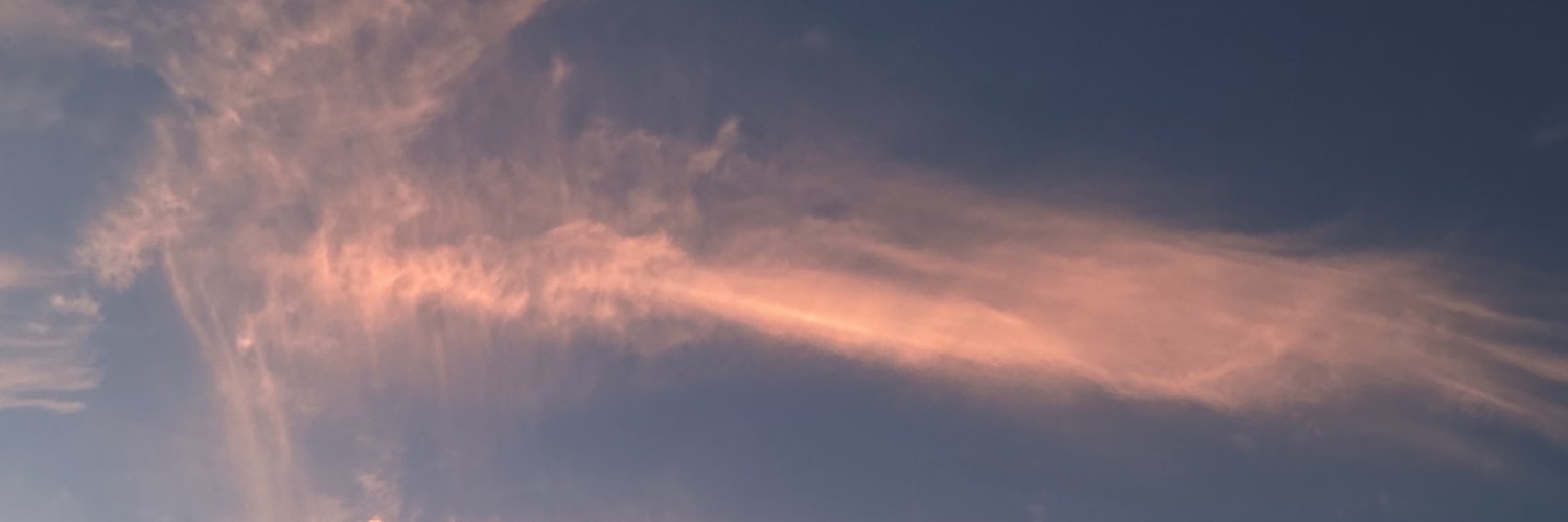 renan0499's profile banner image