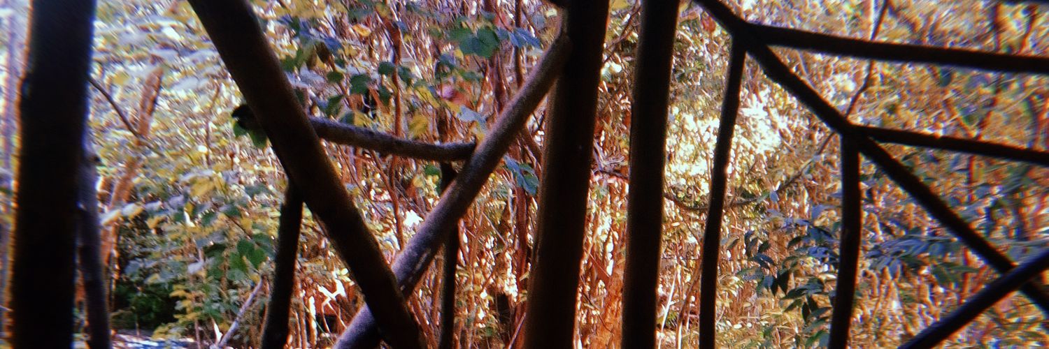 whitexflag's profile banner image