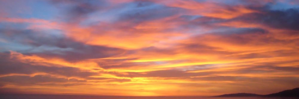 Martitaderus's profile banner image