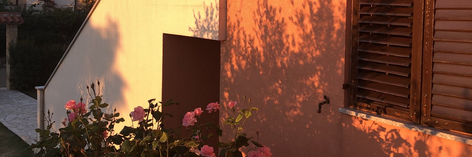 lynsedkstr_'s profile banner image