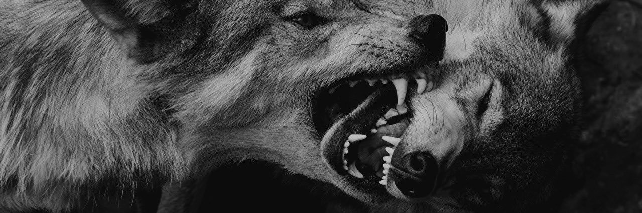 withwhywithi's profile banner image