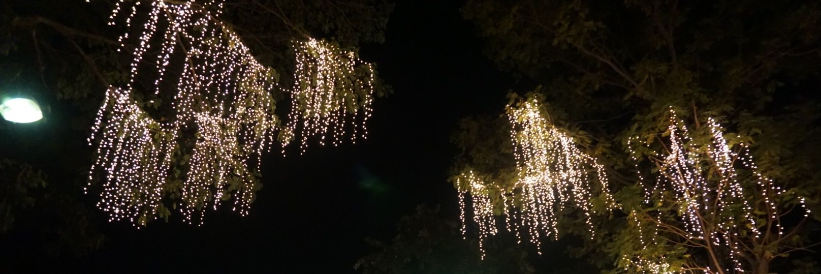 Kkeddiiz's profile banner image