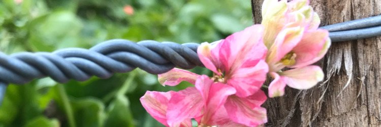 formerSAHM's profile banner image