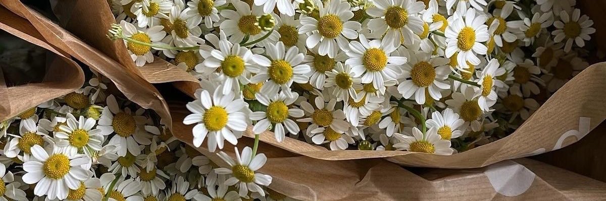 _ha7la's profile banner image