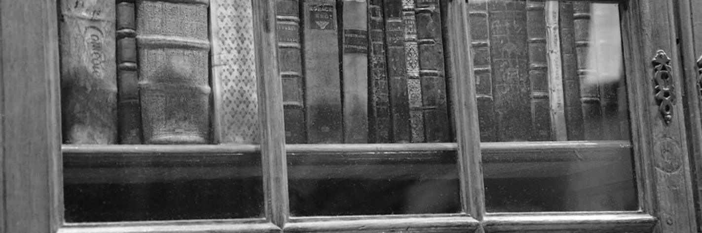 NovelChatter's profile banner image