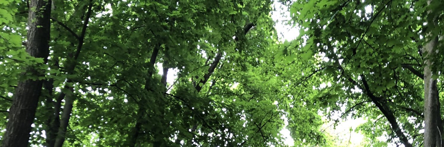 Caroline Cameron banner