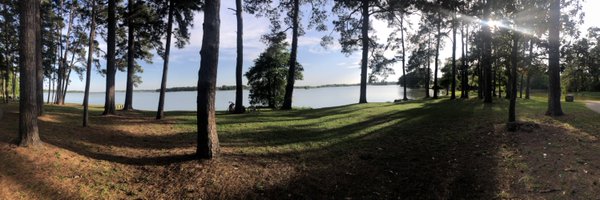 SILVAEILEENB Profile Banner